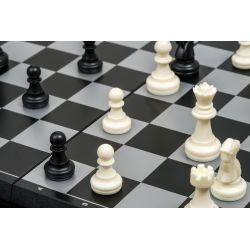 Chess Deluxe (Xadrez) (Philos)