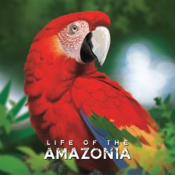 Life of the Amazonia...